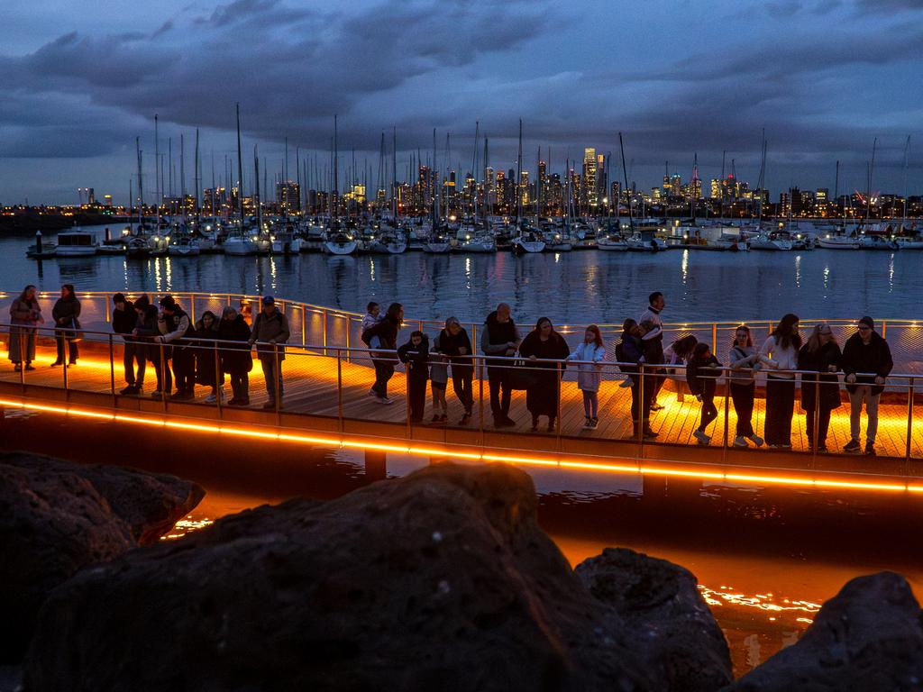 St Kilda’s Little Penguins return with a new free viewing experience