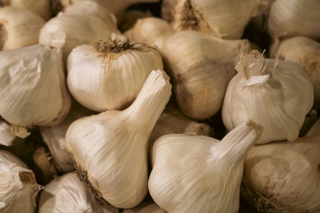 The South Gippsland Garlic Festival is back bigger and bolder than before this February